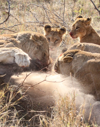 B06Erin Herbst Styx 3 211021 FINAL 4