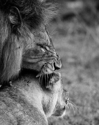 05Mike Palmer Mazino Floppy 050316 1