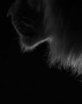 08Kyle 2 Feb Avoca Hunt 9 Final 08Kyle 2 Feb Avoca Hunt 9 Final