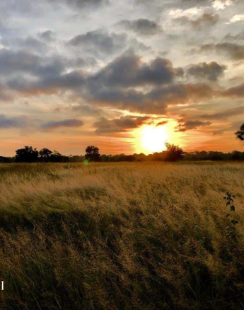 01Louise Murray Sunrise 11042019 Final