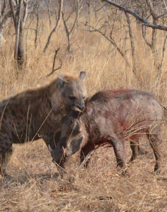 31Ronald Mutero WD 01092019 Final