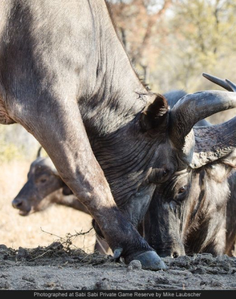 10708630 743713002343020 4544280535821439863 O