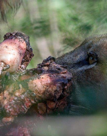 07Mike Palmer SP Kill 310316 2