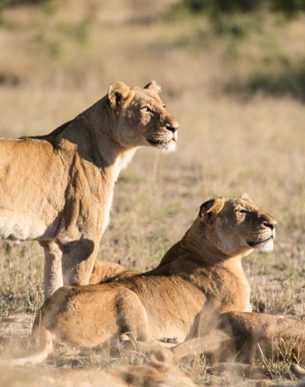 30Terry Ennever SP 22517 Final 30Terry Ennever SP 22517 Final