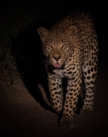 31Kevan Dobbie WDam 240519 Final 31Kevan Dobbie WDam 240519 Final