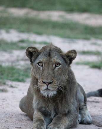 19Tyron Van Der Walt Sand River Male 280420 1 Final