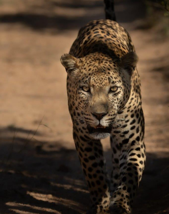 10Tyron Van Der Walt White Dam 050521 Portrait Final