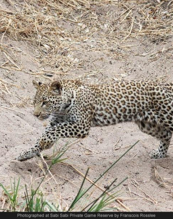 1941364 740102902704030 5641625850849647552 O