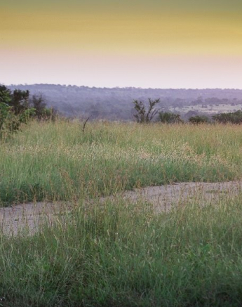 1801382 807734795940840 1171650582201557767 O