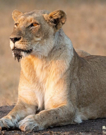 B25ronald Mutero Styx 29082021  8 Final B25ronald Mutero Styx 29082021  8 Final