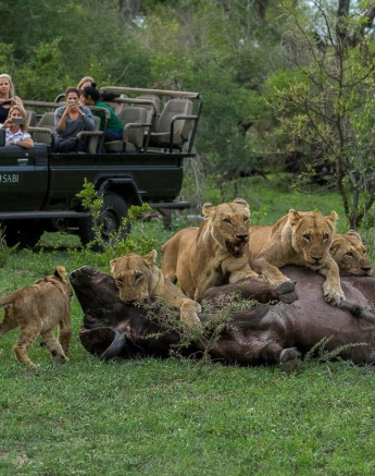 05Kyle Lions Taking Buff No 3 15 Dec 7 Final