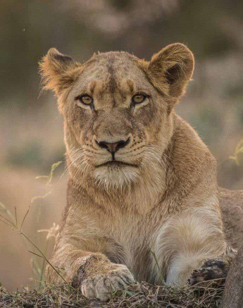 34Kevan Dobbie SP 130518 Final 34Kevan Dobbie SP 130518 Final