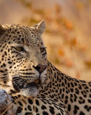 13Louise Murray WD 02082019 2 Final 13Louise Murray WD 02082019 2 Final