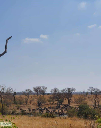 01Jacques Smit EL Waterhole 17092019 Final 01Jacques Smit EL Waterhole 17092019 Final