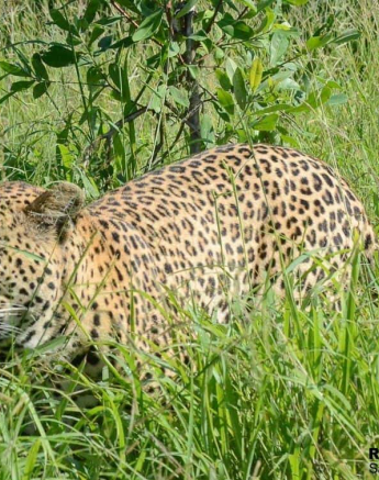 22Ronald Mutero White Dam 15022020 24 Final 22Ronald Mutero White Dam 15022020 24 Final