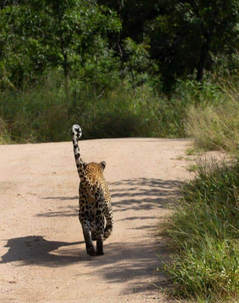 12Greg Heasman Wd 29032020 Final 12Greg Heasman Wd 29032020 Final