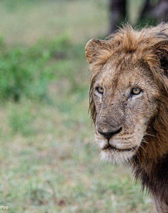 32ronaldmutero Nwash 20112020 3 Final 32ronaldmutero Nwash 20112020 3 Final