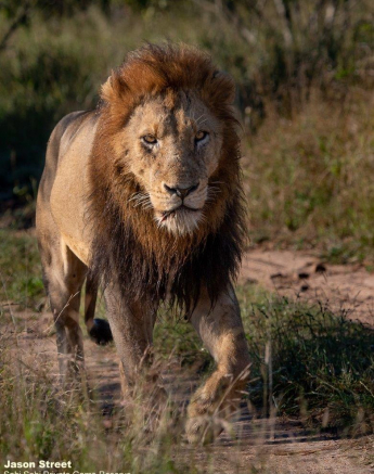 A30Jason Street Nwaswishaka Male 170522 Final A30Jason Street Nwaswishaka Male 170522 Final