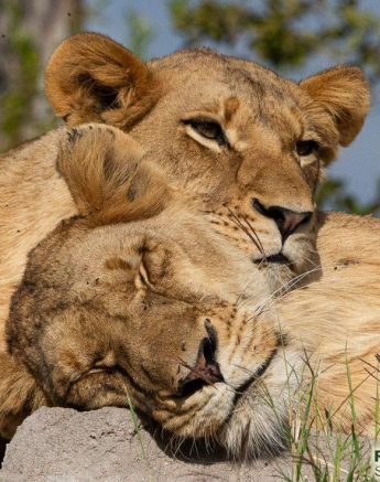 A13ronald Mutero Sp 15062022 2 Final A13ronald Mutero Sp 15062022 2 Final