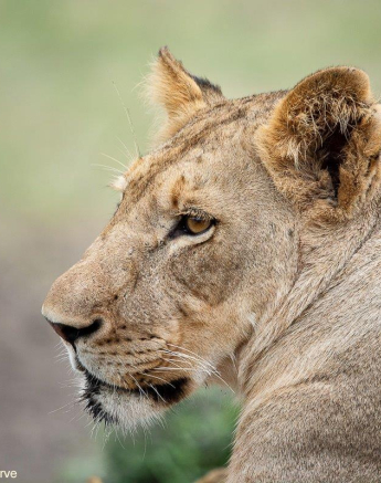 A35ronald Mutero Styx 29112022 Final