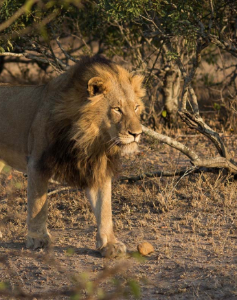 11Franscois Rosslee Charlstonmadoda1 1 Of 1 11Franscois Rosslee Charlstonmadoda1 1 Of 1