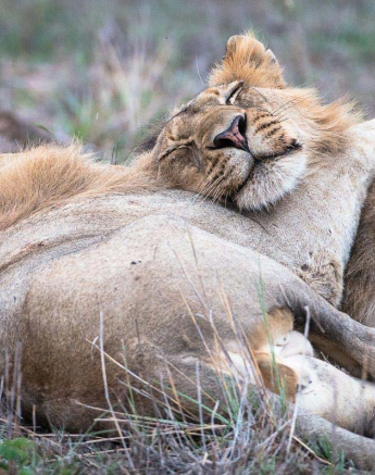 15Terry Ennever Talamati2 27 2 15 15Terry Ennever Talamati2 27 2 15