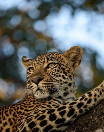 19Mike Palmer Hlarulini 010416 1