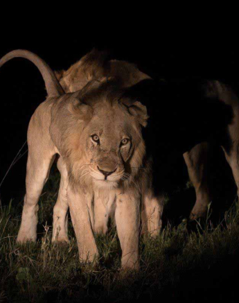 07Kyle 2 Feb Avoca Hunt 6 Final 07Kyle 2 Feb Avoca Hunt 6 Final