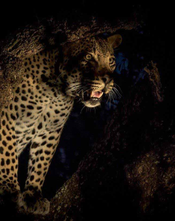 15Kevan Dobbie WDam Scene 100518 3 Final 15Kevan Dobbie WDam Scene 100518 3 Final