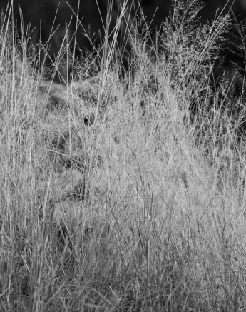 02Kevin Van Der Linde Lion SP 11052019 Final