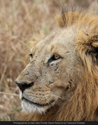 10484362 698863576827963 8132080917737989996 O