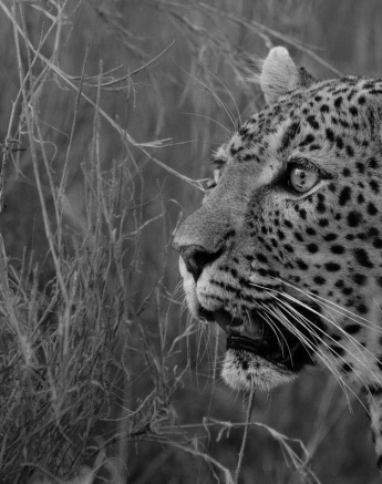 23Mike L White Dam Close 2