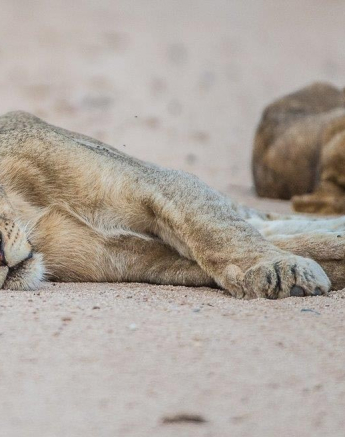 07Terry Ennever Sparta 9417 6 Final 07Terry Ennever Sparta 9417 6 Final