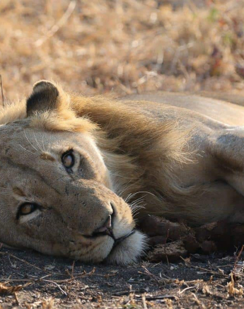 28Steff McWilliam Southern Pride 29072019 Final 28Steff McWilliam Southern Pride 29072019 Final