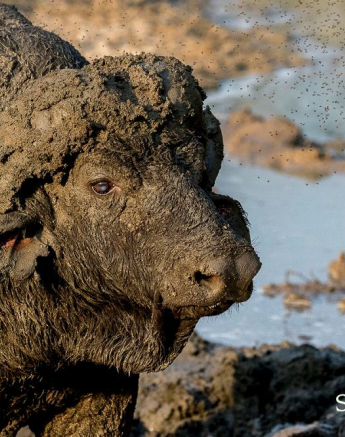 10505210 814235475290772 6115203713948366478 O