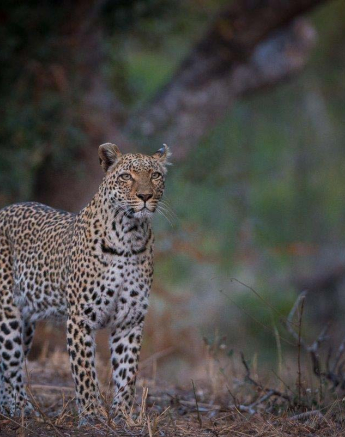 18Terry Ennever LBC 17 7 16