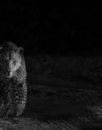 06Mike Palmer Max 250616 2