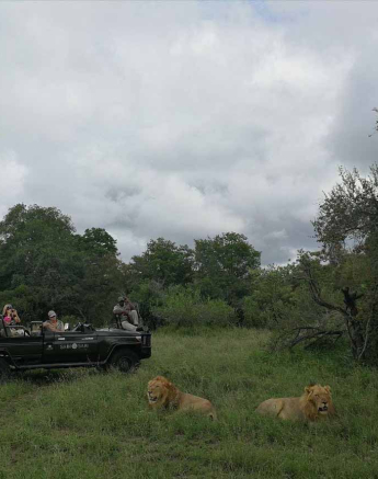 02Kerry Roberg Avocas 20022018 Final