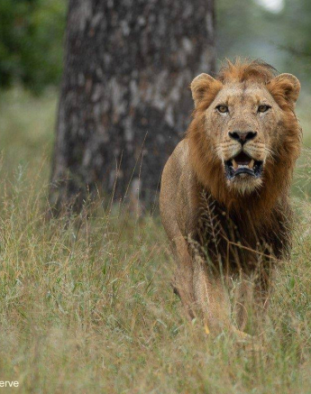 13Tyron Van Der Walt NWashishaka Males 160420 7 Final