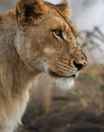 43Ally Ross 20200709 SP 02 Portrait  1 Final