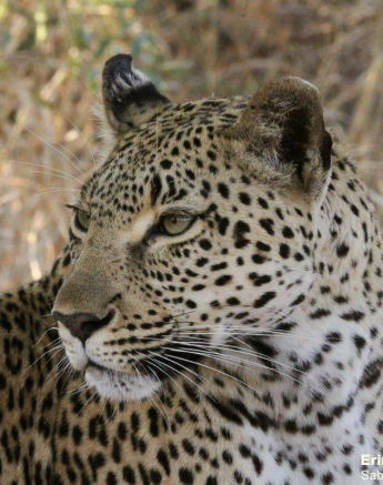 B04Erin Herbst Kigelia 2 270821 Final B04Erin Herbst Kigelia 2 270821 Final