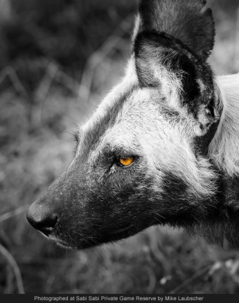 1272921 743665302347790 7217982452725675566 O