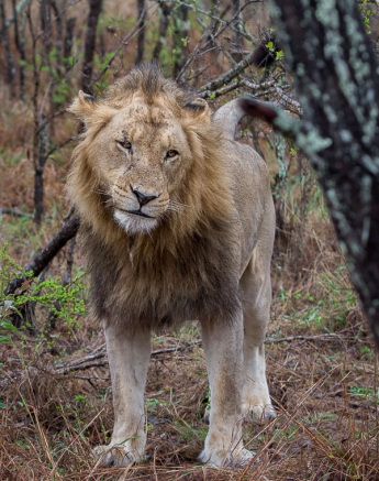 Mike Palmer Fourways Males 2