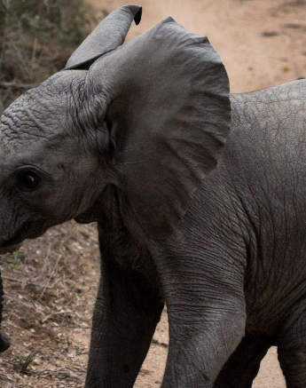 20Sheldon Hooper I Know Im Big 3 20Sheldon Hooper I Know Im Big 3