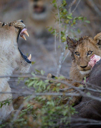 06Mike Palmer SP Kill 130716 1