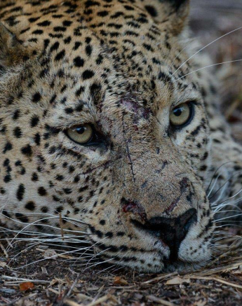 09Mike Palmer Max Vs Mash 010816 09Mike Palmer Max Vs Mash 010816