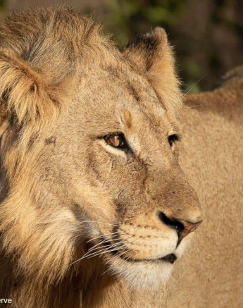 46Tyron Van Der Walt Sand River 100720 1 Final