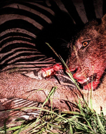 B06Coenraad Stapelberg Styx 130123 4 Final