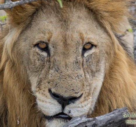 20Franscois Rosslee Matimba 1 Of 1 Final