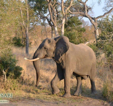 34Ronald Mutero Ele 28072019 3 Final 34Ronald Mutero Ele 28072019 3 Final